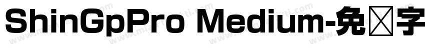 ShinGpPro Medium字体转换